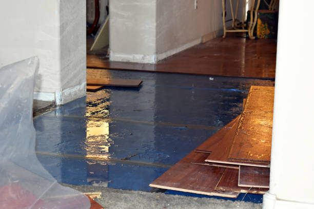 Professional Burst Pipe Cleanup technician working in Columbus, MI
